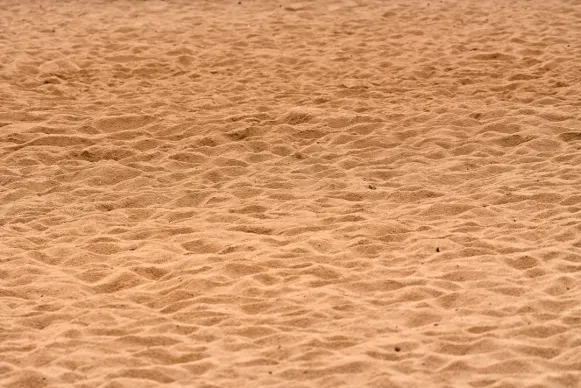 Tsars Kasino Sokongan